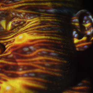 东京热坂道美琉视频黄网站
